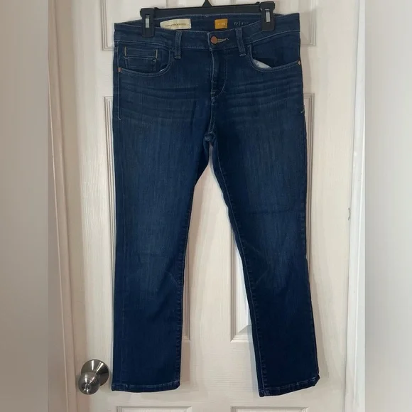 Pilcro And The Letterpress Anthropologie Women’s SJEJ Fit Jeans Size 29 - Picture 1 of 8